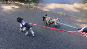 朝のお時間 2019/11/4