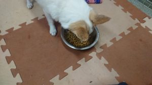 朝のお時間 2019/12/1