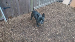 昼のお時間 2019/12/1