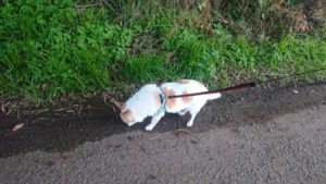 夜のお時間 2019/12/1