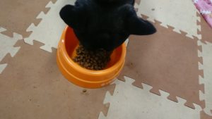 朝のお時間 2019/12/2