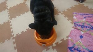 夜のお時間 2019/12/2