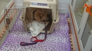 午後のお時間 2019/12/3