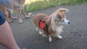 朝のお時間 2019/12/4