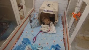 昼のお時間 2019/12/4