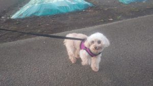 夜のお時間 2019/12/4