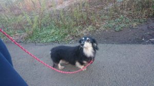 朝のお時間 2019/12/5