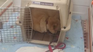 午後のお時間 2019/12/5