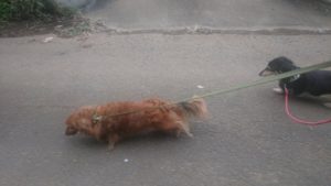 朝のお時間 2019/12/6