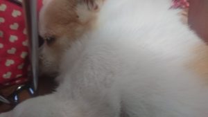 昼のお時間 2019/12/6