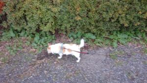 夜のお時間 2019/12/6