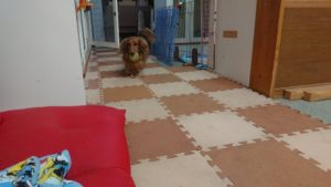 昼のお時間 2019/12/7