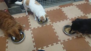 夜のお時間 2019/12/7