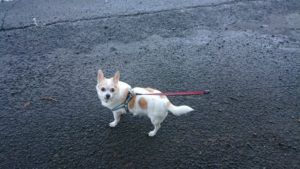 朝のお時間 2019/12/8