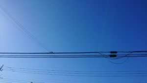 昼のお時間 2019/12/8