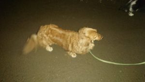 夜のお時間 2019/12/8