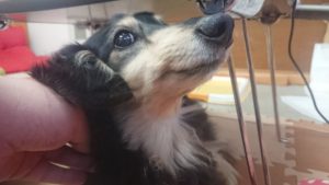 昼のお時間 2019/12/9