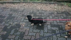 夜のお時間 2019/12/9