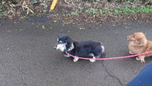 朝のお時間 2019/12/10