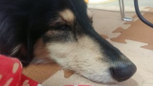 昼のお時間 2019/12/10