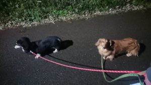 夜のお時間 2019/12/10