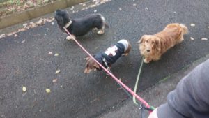 朝のお時間 2019/12/11