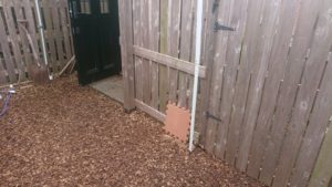 昼のお時間 2019/12/11