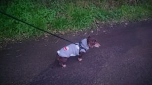 夜のお時間 2019/12/11