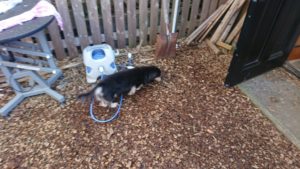 午後のお時間 2019/12/12