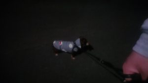 夜のお時間 2019/12/12