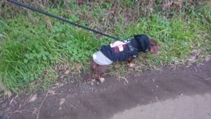 朝のお時間 2019/12/13