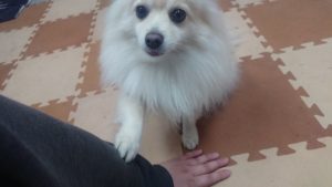 昼のお時間 2019/12/13