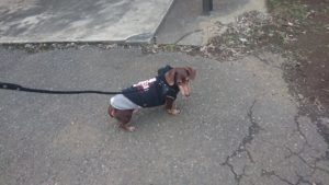 夜のお時間 2012/12/13