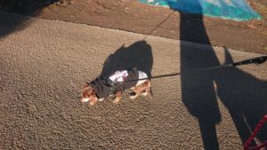 朝のお時間 2019/12/14