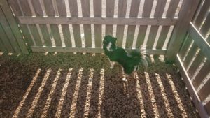 昼のお時間 2019/12/14