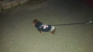 夜のお時間 2019/12/14