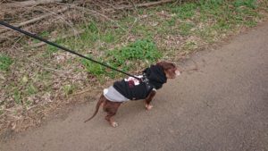 朝のお時間 2019/12/15