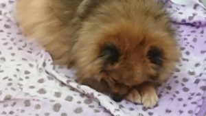 午後のお時間 2019/12/15