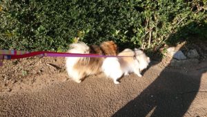 朝のお時間 2019/12/16