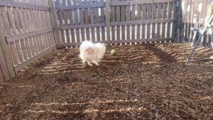 昼のお時間 2019/12/16