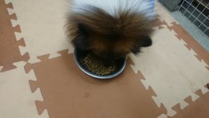 夜のお時間 2019/12/18