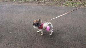 朝のお時間 2019/12/18