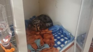 昼のお時間 2019/12/18