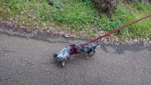 朝のお時間 2019/12/19