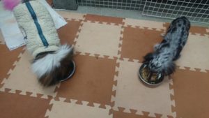 夜のお時間 2019/12/19