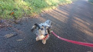 朝のお時間 2019/12/20