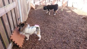 昼のお時間 2019/12/20