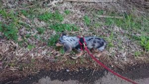 夜のお時間 2019/12/20