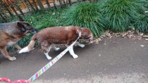 朝のお時間 2019/12/21