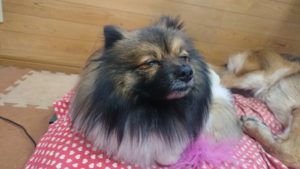 昼のお時間 2019/12/21